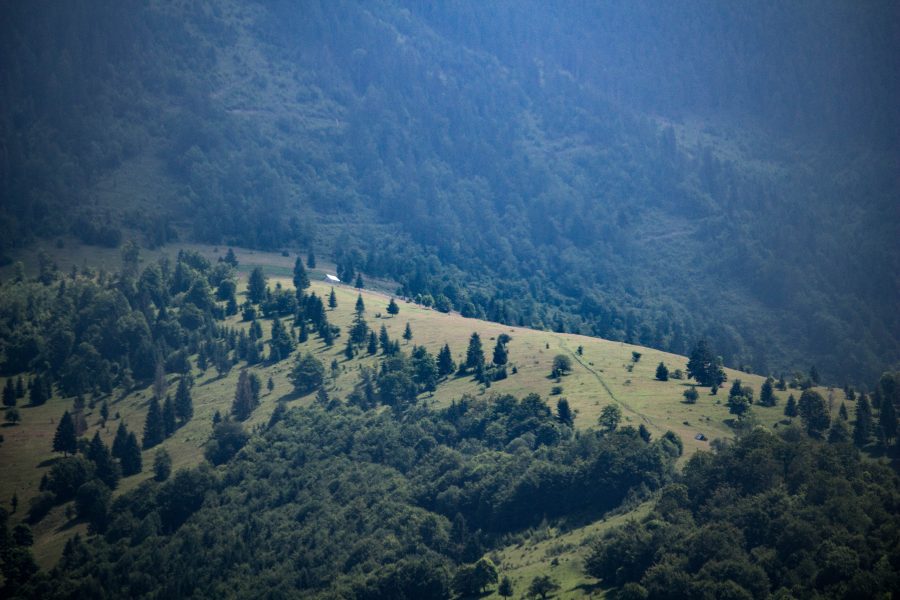 Marosborgói táj - Mureșenii Bârgăului