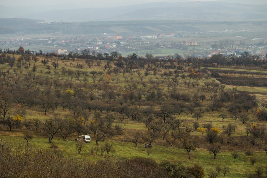 Szászrégen ősszel - Domboldal