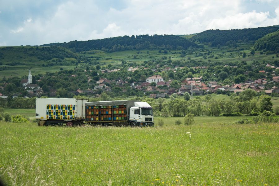 Méhészkedés a Sóvidéken