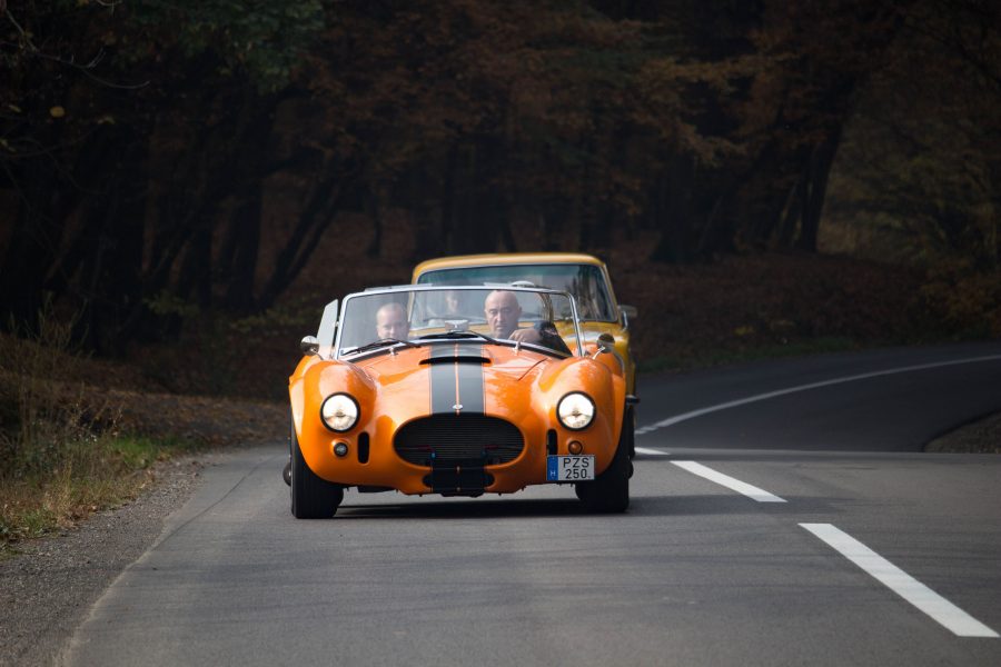 AC Cobra - 1980