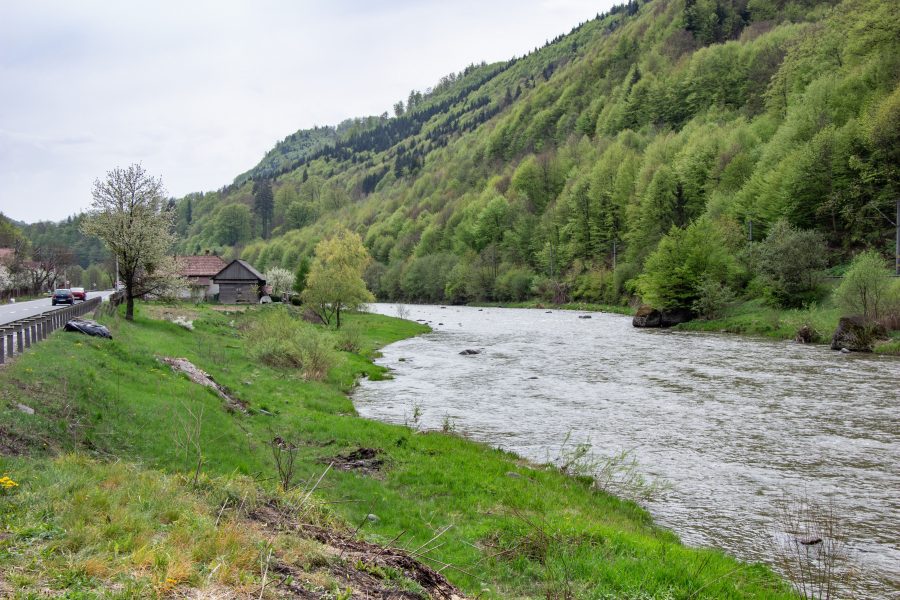 Tavasz a Maros partján