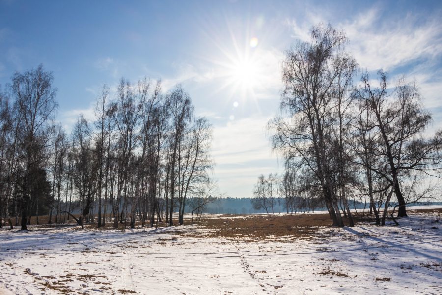 A Rétyi Nyír természetvédelmi terület