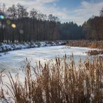 Kisebb tavak a Réty Nyírben