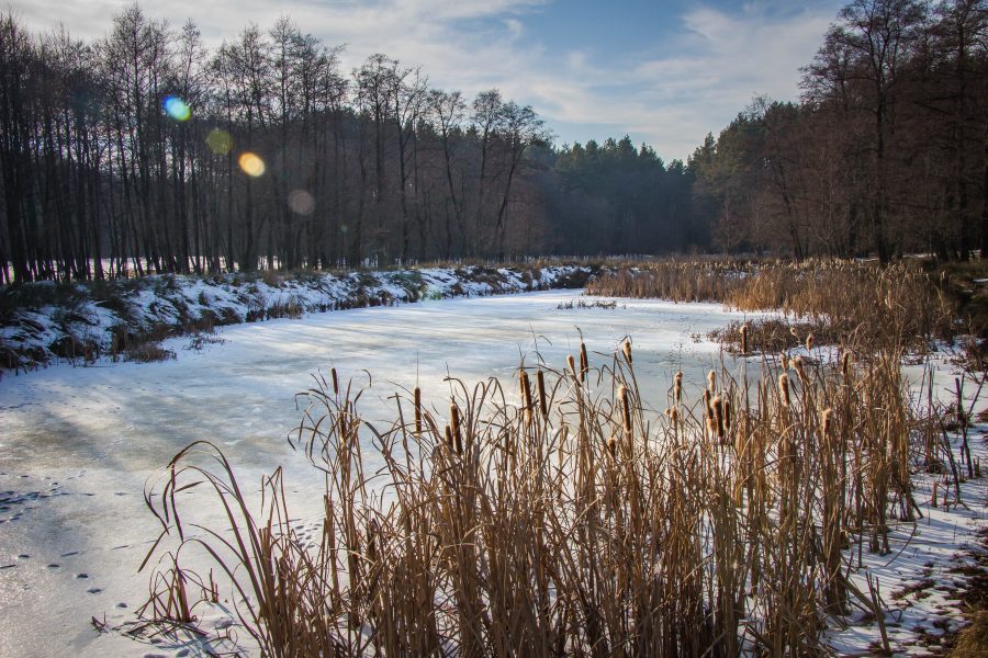 Kisebb tavak a Réty Nyírben