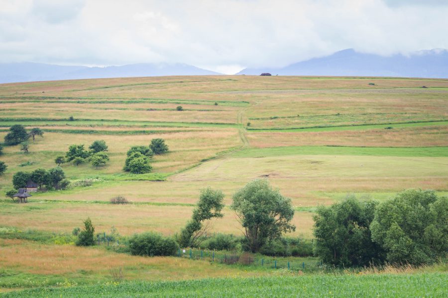 A Csíkszenttamási Feneketlen-tó