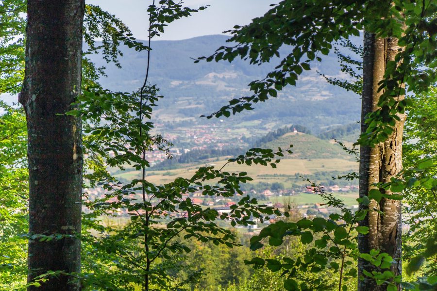 A Tyúkász Dombi kápolna Szováta erdejéből nézve