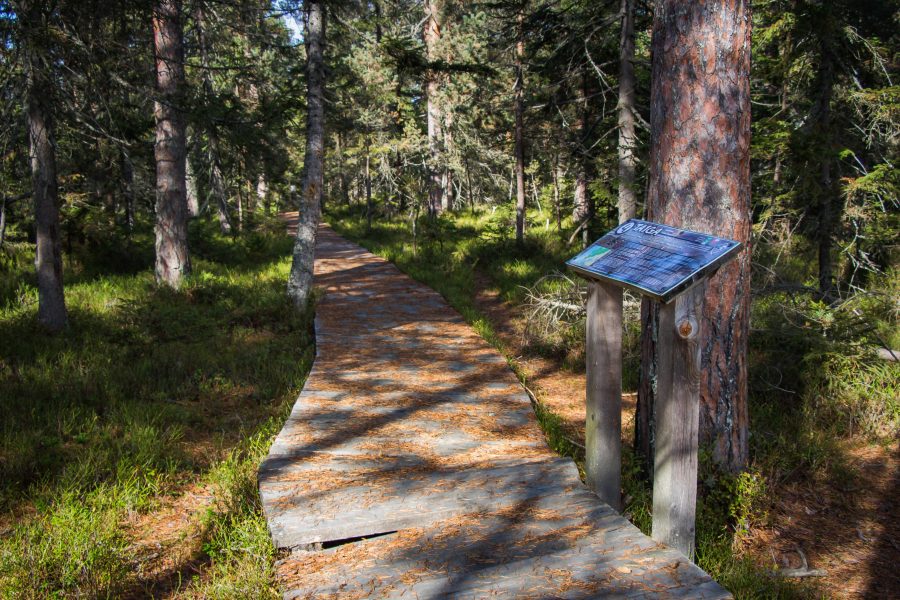 2007-től a Natura 2000 részét képezi a tőzegláp