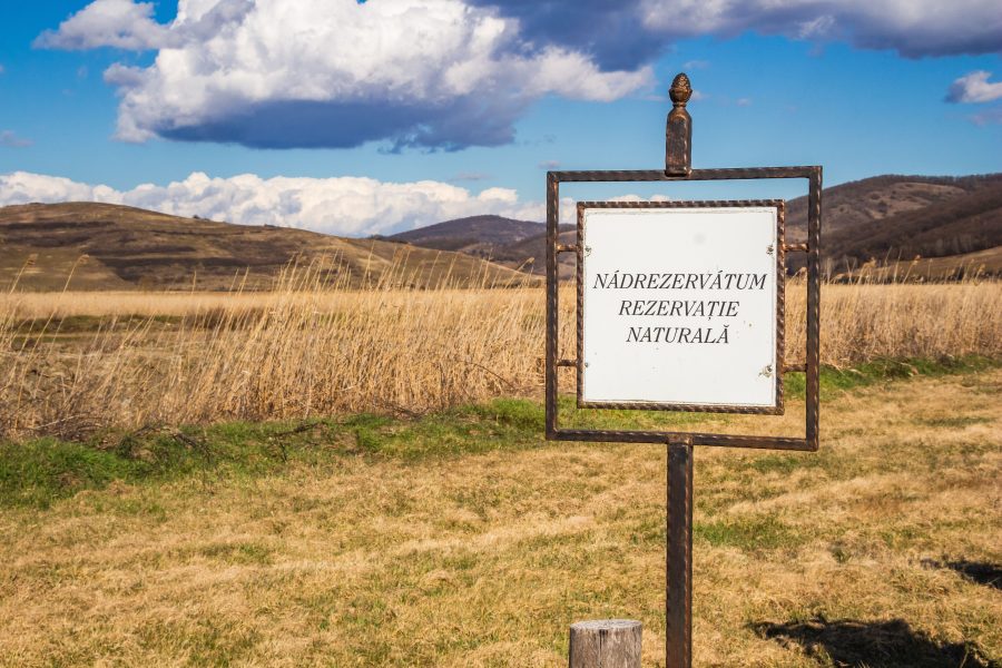 A Széki Nádrezervátum bejárata