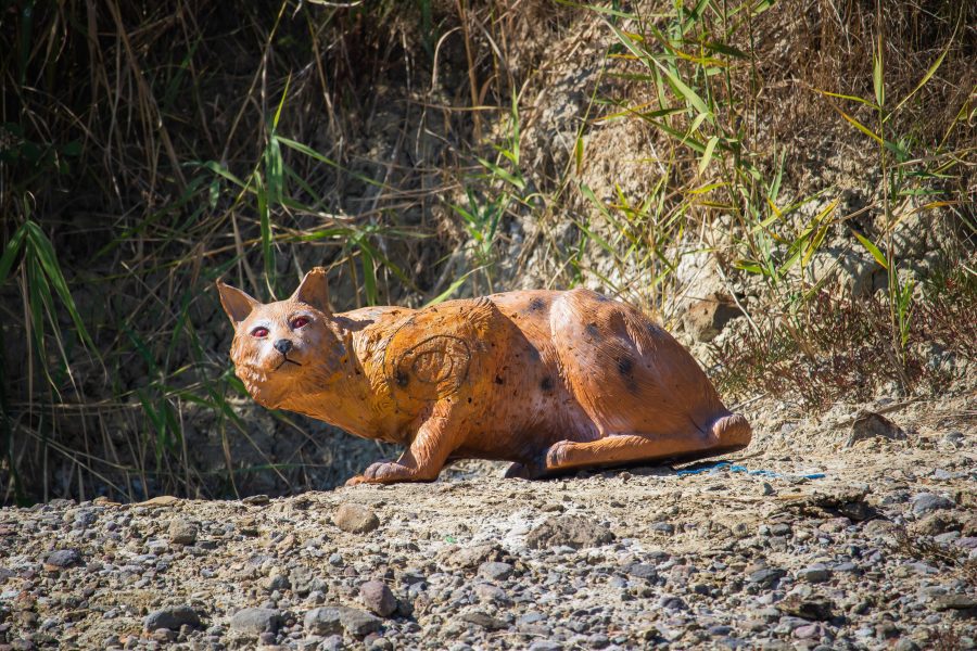 3d célokra kell lőni a versenyen