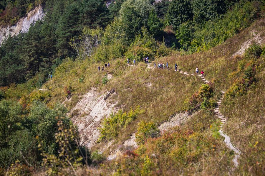 Nem akármilyen terep ad otthont a versenynek