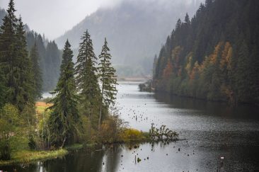 A Gyilkos-tó - Erdélyi képek