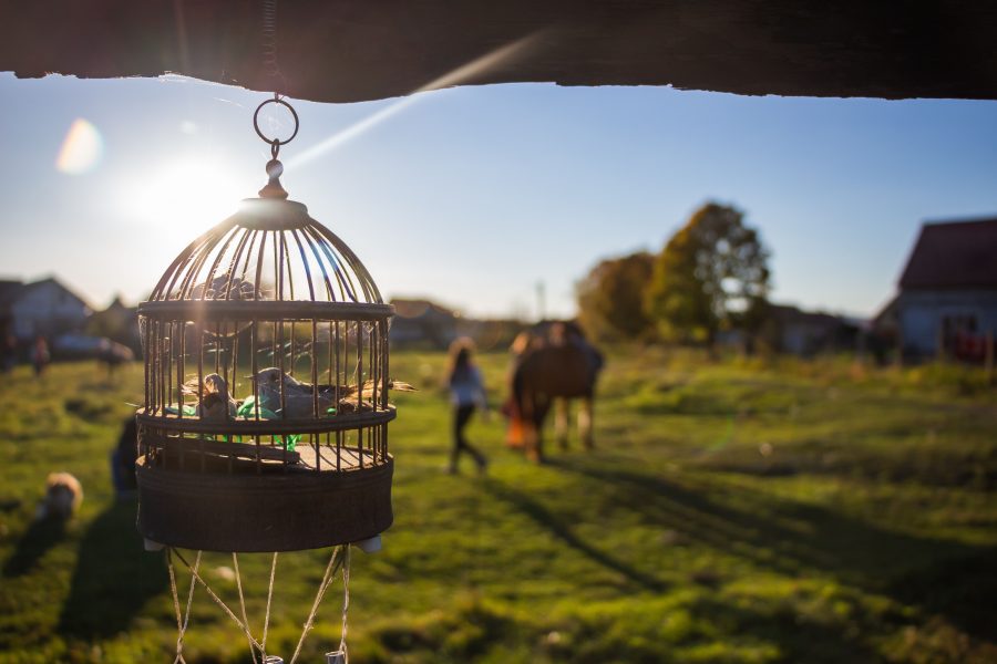 Esteledik a nagyernyei lovasközpontban