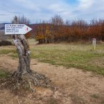 A Somostető fele a Németkalap tetőn át