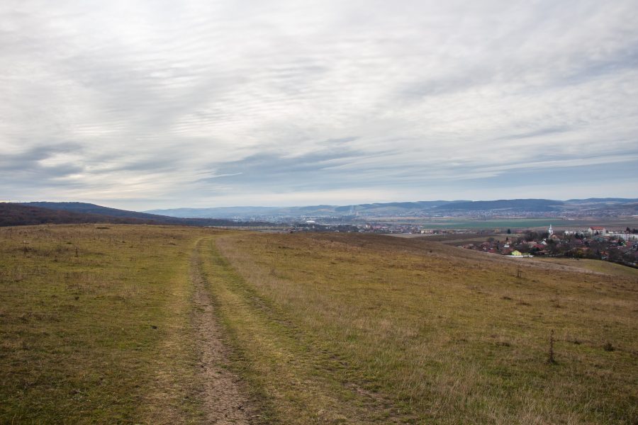 Kirándulás a Cinege-tetőre