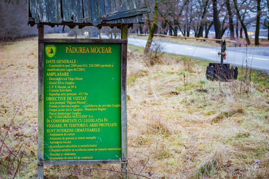Mocsár-Erdő Rezervátum - Szászrégen