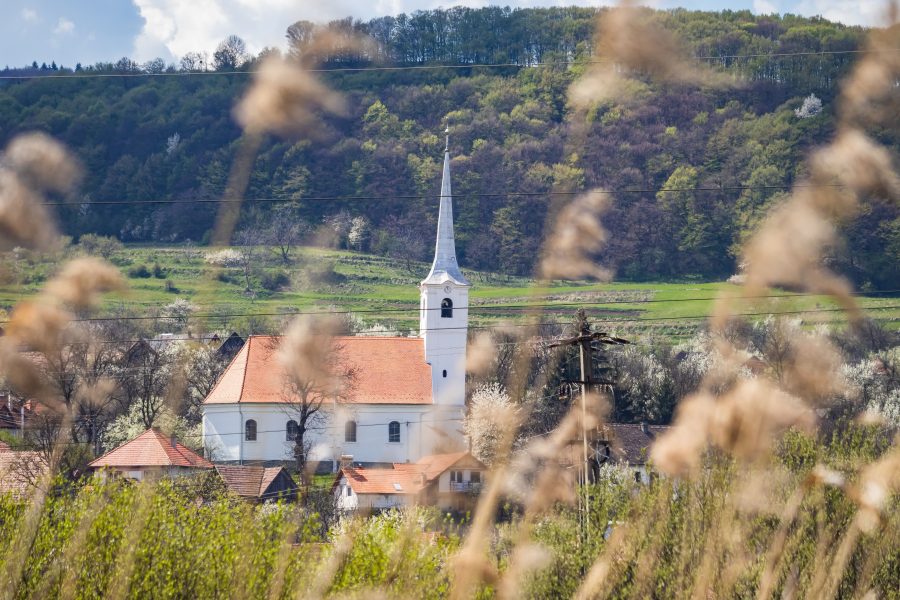 Nád és templom