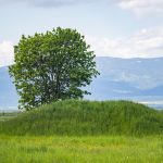 A támadókat itt, a csata helyszínén temették el