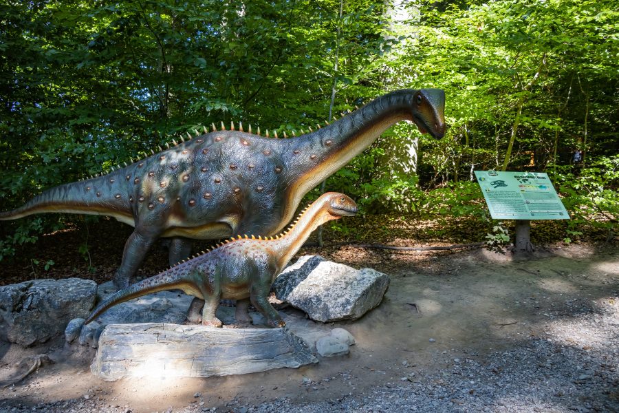 Erdély dinója, a Magyarosaurus Dacus