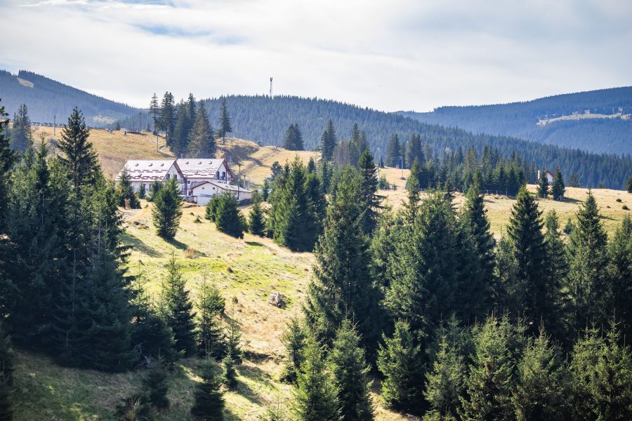 Szebenjuharos egy verőfényes reggelen