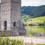 Egy kiskutya az Összetartozás templomának az őre