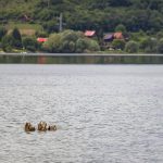 Valamikor 180 ház állott itten