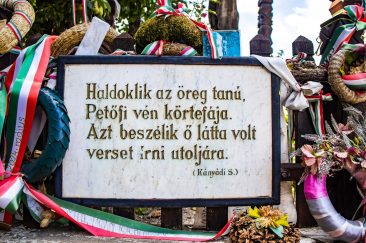 Petőfi körtefája - Erdélyi képek