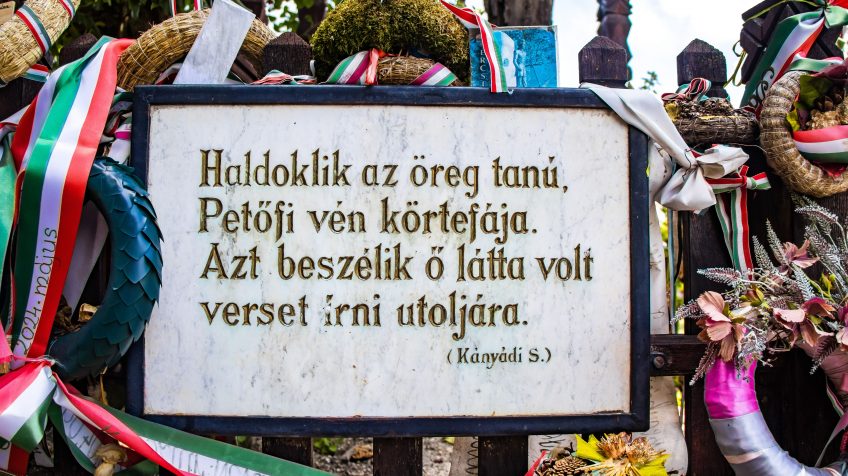 Petőfi körtefája - Székelykeresztúr