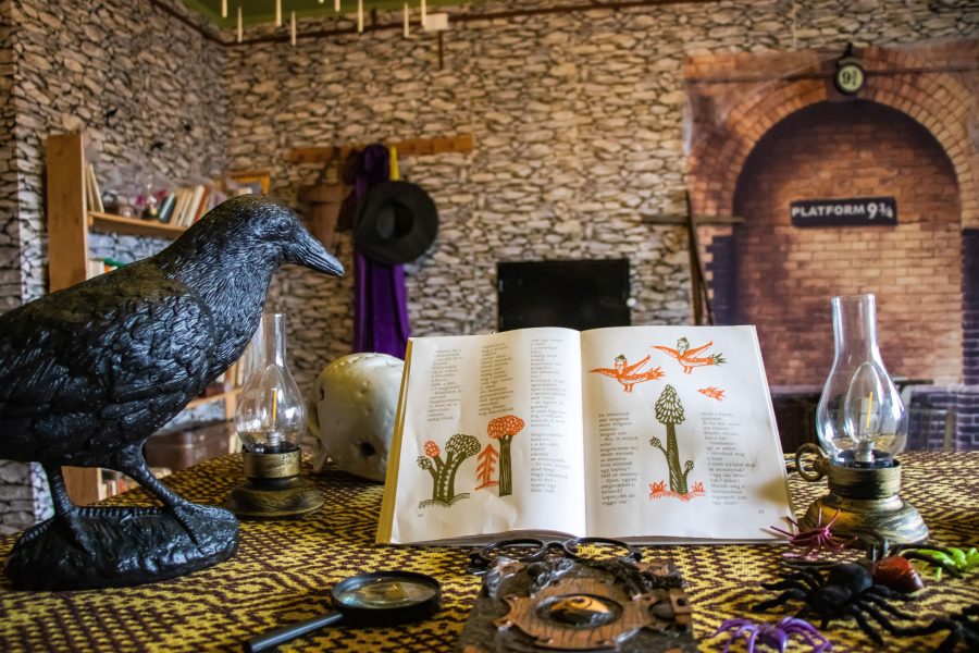 Harry Potter világa