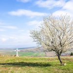 Tavasz a Nádika-tetőn