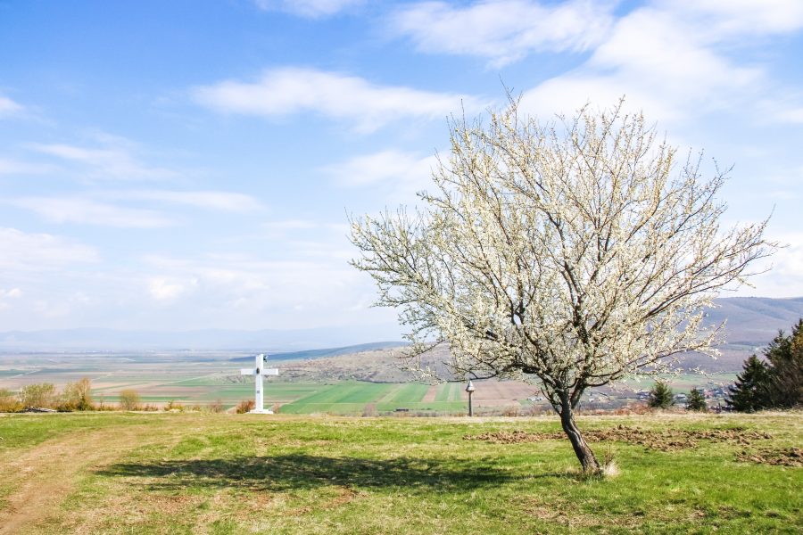 Tavasz a Nádika-tetőn