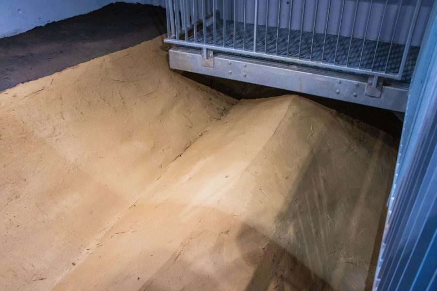 A castrum kiásott és visszatakart fala